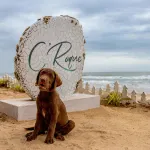 C Roque Beach Resort - Beach