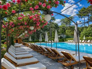 Hotel Greif