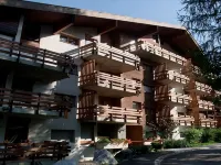 50 metres from the cable car, apartment with balcony, private collective parking, WIFI Hotels in Ayent