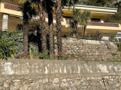Sunny 4-room apartment with large palm terrace. Lake view