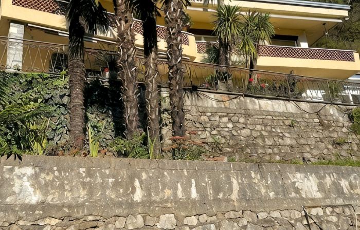 Sunny 4-room apartment with large palm terrace. Lake view