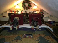 Highland Cottage Super Cute-Close to Everything in Lake Placid - 3-Star
