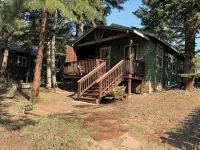 Cozy & Comfortable 1Bd Cabin in Nederland ~ Walk to Downtown - Chalets