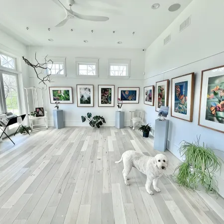 East Suite-Bleubird Studio- 5Miles to KY Horse Park, 30Min the Ark,Bourbon Trail
