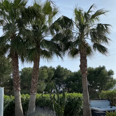 Modern bungalow with heated pool, 50m from the sea - whirlpool -