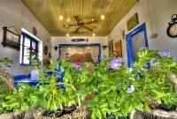 Cunda Mavi Otel - Adults Only Hotels in Mithatpasa Mahallesi