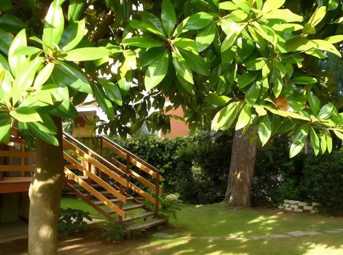 B&B Domus Gratiae - Chỗ nghỉ phục vụ bữa sáng