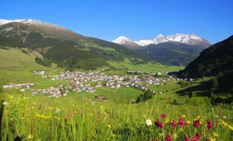 Pension Tirol