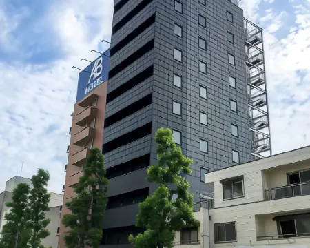 HOTEL LiVEMAX Gifu Ekimae Hotels in Gifu