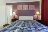 Arcadian Bed & Breakfast Hotels near Greenshank Park