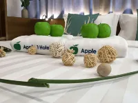 أبل هوتل تايمز سكوير