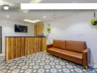 The Baga Village-Tbv