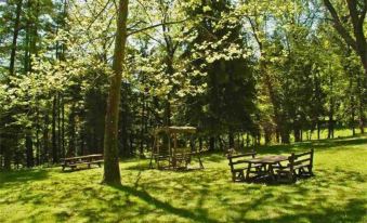 Unique and Secluded Country Estate Near Pittsburgh