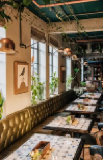 고저스 조지 바이 디자인 호텔