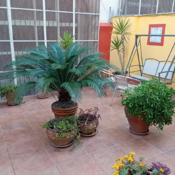 B&B le Stanze del Sogno