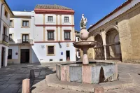 Apartamentos Plaza