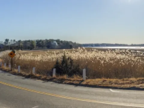★The Islander | Steps From Water, Fire Pit, AC★ Hotels in Mashpee