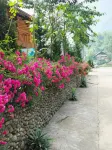 Muong Hoa Hmong Homestay