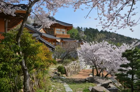 Geoje Sonanggu Pension Отели в г. Кодже