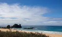 Beautiful beachside house and garden - 2 minutes from the beach!