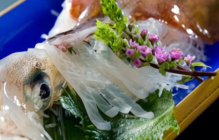 Echizenkaigan Tamagawa No Yado Iwamotoya