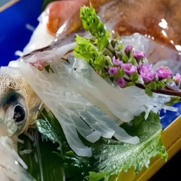 Echizenkaigan Tamagawa No Yado Iwamotoya