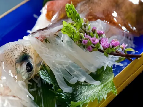 료칸 에치젠카이간 다마가와 노 야도 이와모토야