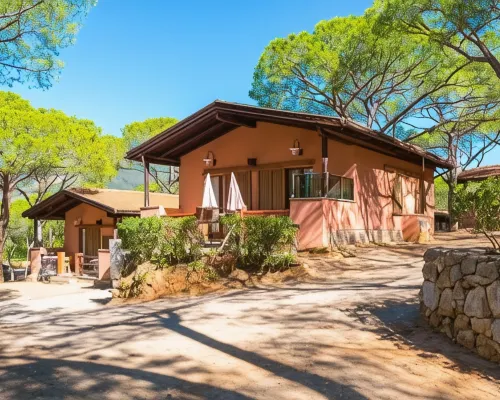 卡寧拉科納松樹營地 卡波利韋裡住宿飯店