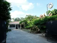 Mad Monkey Dumaguete