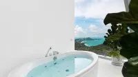 ICON Luxury Private Villa - Villas