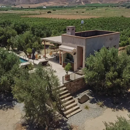 Alma Liebre Viñedos del Valle