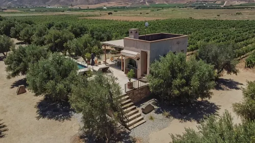 Alma Liebre Viñedos del Valle