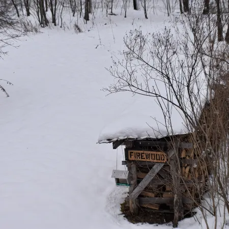 Cozy 4-bedroom chalet with WiFi, AC, fireplace in adventurous Mad River Valley
