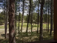 Retreat on the Green, Great Outdoor Space, Close to Bike Trails - Sleeps 8-12