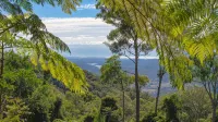 Binna Burra Sky Lodges - Homestays