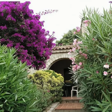 Maison Corse n°2