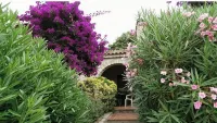 Maison Corse n°2 - ที่มีสระว่ายน้ำ