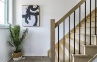 Elegant Home in Collingwood