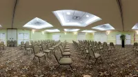 Staybridge Suites ORLANDO AIRPORT SOUTH by IHG - Layanan Antar-Jemput