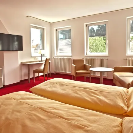 Sternplatz-Hotel Отели в г. Эхинген
