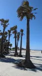 Beach-Chic Apt. for Two - SLEEP NUMBER BED - Porch Rockers - Short Walk to Beach