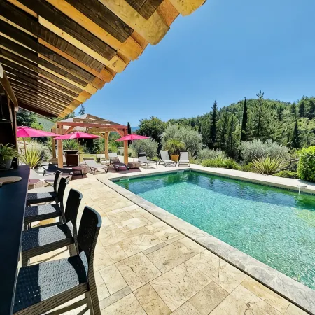 Stone house, swimming pool, spa, pétanque court, outdoor bar