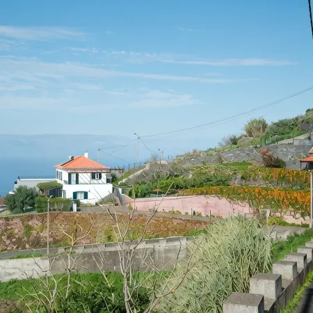 Manta House - Palheiro