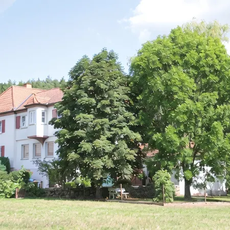 Apartment directly on Elsbach