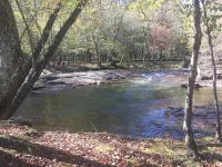 Bear Claw Cabin,  Located in Blairsville,GA ! on Richard Russell Scenic Hwy !! Hotels in Union County