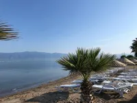 Afytos OREN Park Mtk - Beach