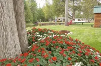 Riverfront Cottage w/ Boat Docking and easy access to Burt Lake