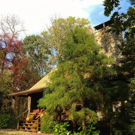 Rare private cabin retreat surrounded by 1700 acres of woods, yet close to town.