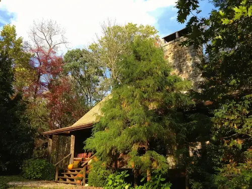 Rare private cabin retreat surrounded by 1700 acres of woods, yet close to town.