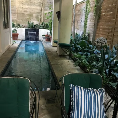 Artist’s Library; Private Swimming Pool in River Oaks Area